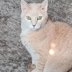 Meet your Posher, Joleen